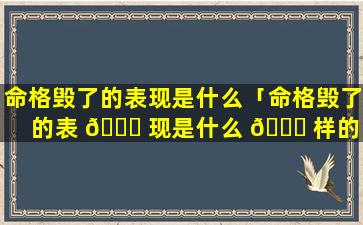 命格毁了的表现是什么「命格毁了的表 🐅 现是什么 🐘 样的」